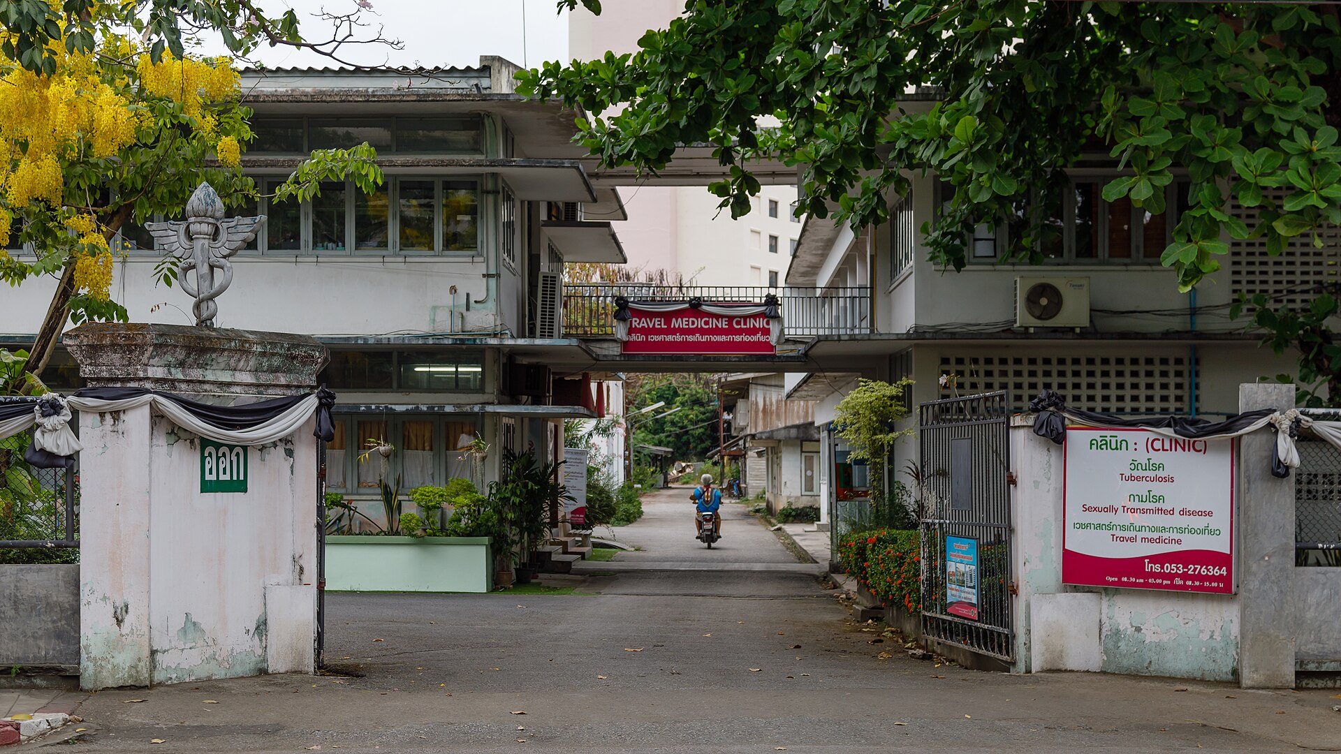 Chiang Mai Nomad Base Guide: Seasons & Visa Runs