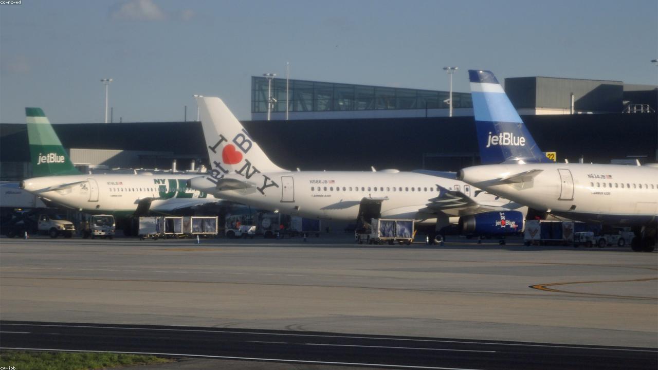 JFK Airport Guide: Terminals, AirTrain & NYC Entry